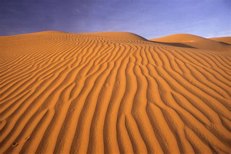  “Le Désert: Le Mystère et l'Élégance de la Sable”